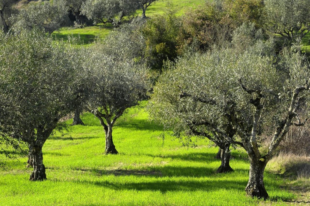 Il Podere La Casina Monsummano Terme Exterior foto