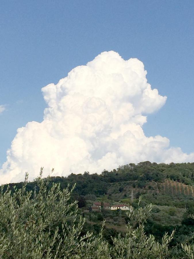 Il Podere La Casina Monsummano Terme Exterior foto