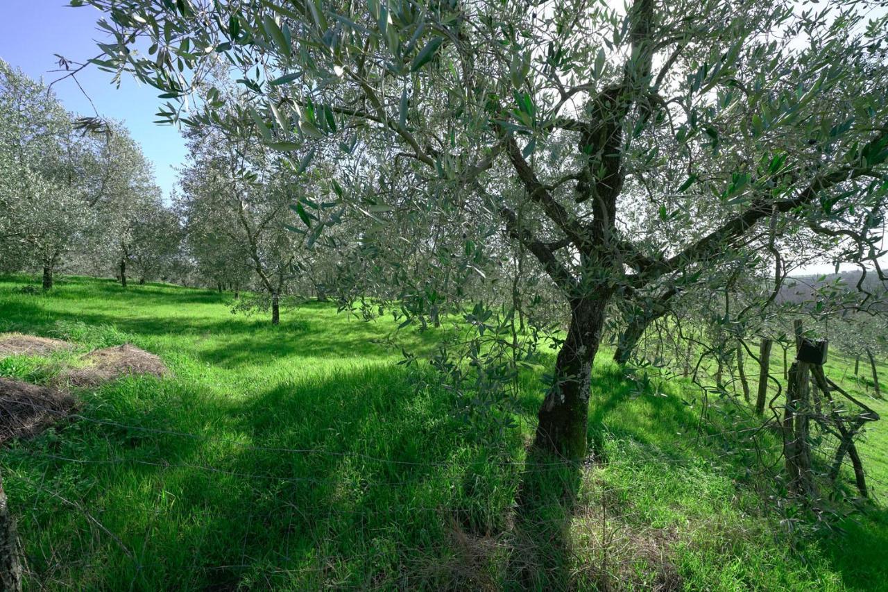 Il Podere La Casina Monsummano Terme Exterior foto