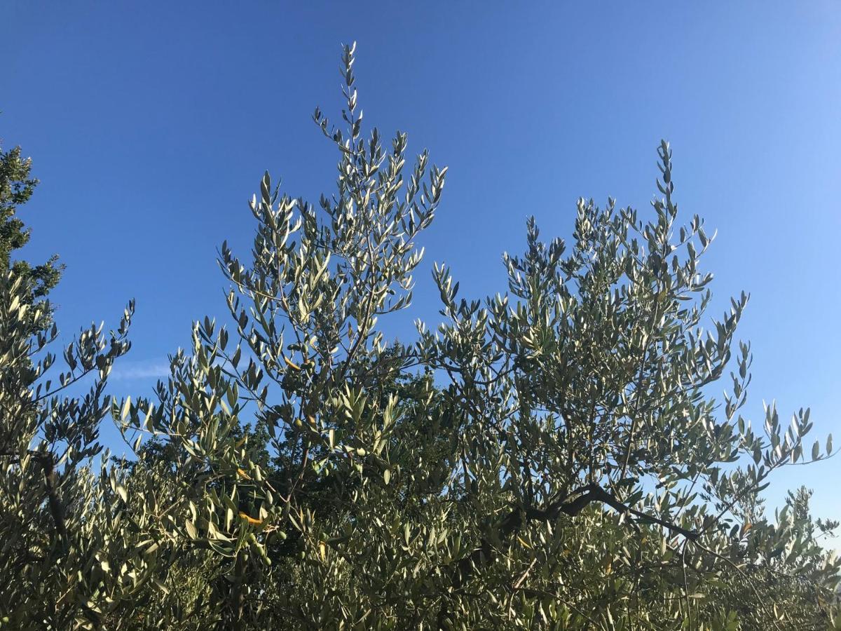 Il Podere La Casina Monsummano Terme Exterior foto